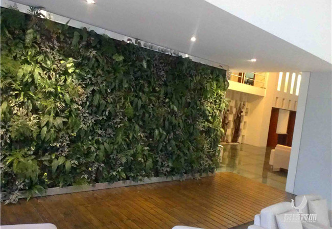 室内绿墙装饰设计